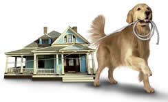 cbhu logo